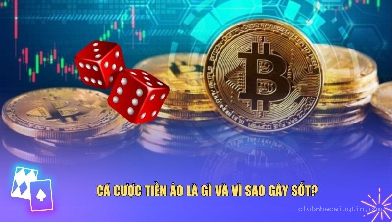 Cá cược tiền ảo đã trở thành một hiện tượng nổi bật trong giới