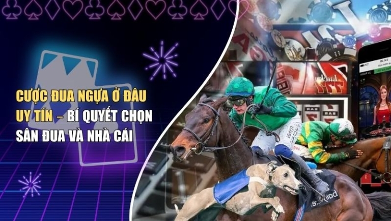Cược Đua Ngựa Ở Đâu Uy Tín – Bí Quyết Chọn Sân Đua Và Nhà Cái