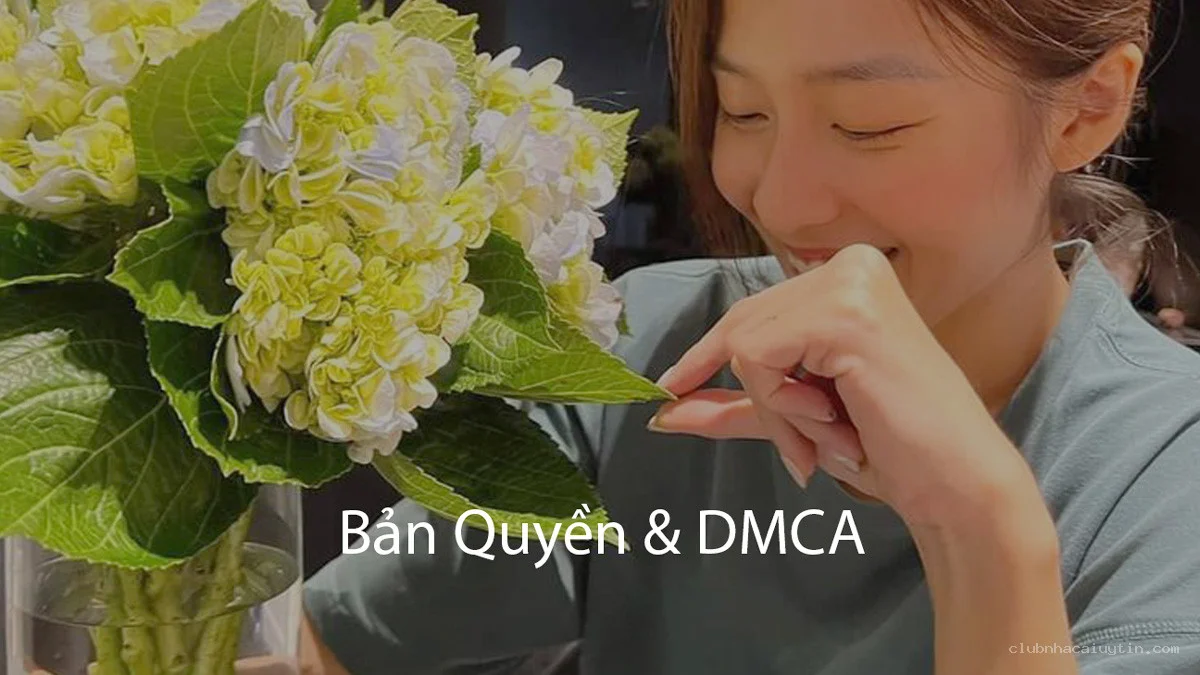 Chính Sách Bản Quyền & DMCA 2026 – Bảo Vệ Nội Dung Club Nhà Cái Uy Tín